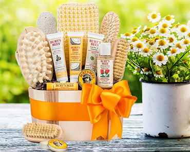 Burts Bees Spa Giveaway
