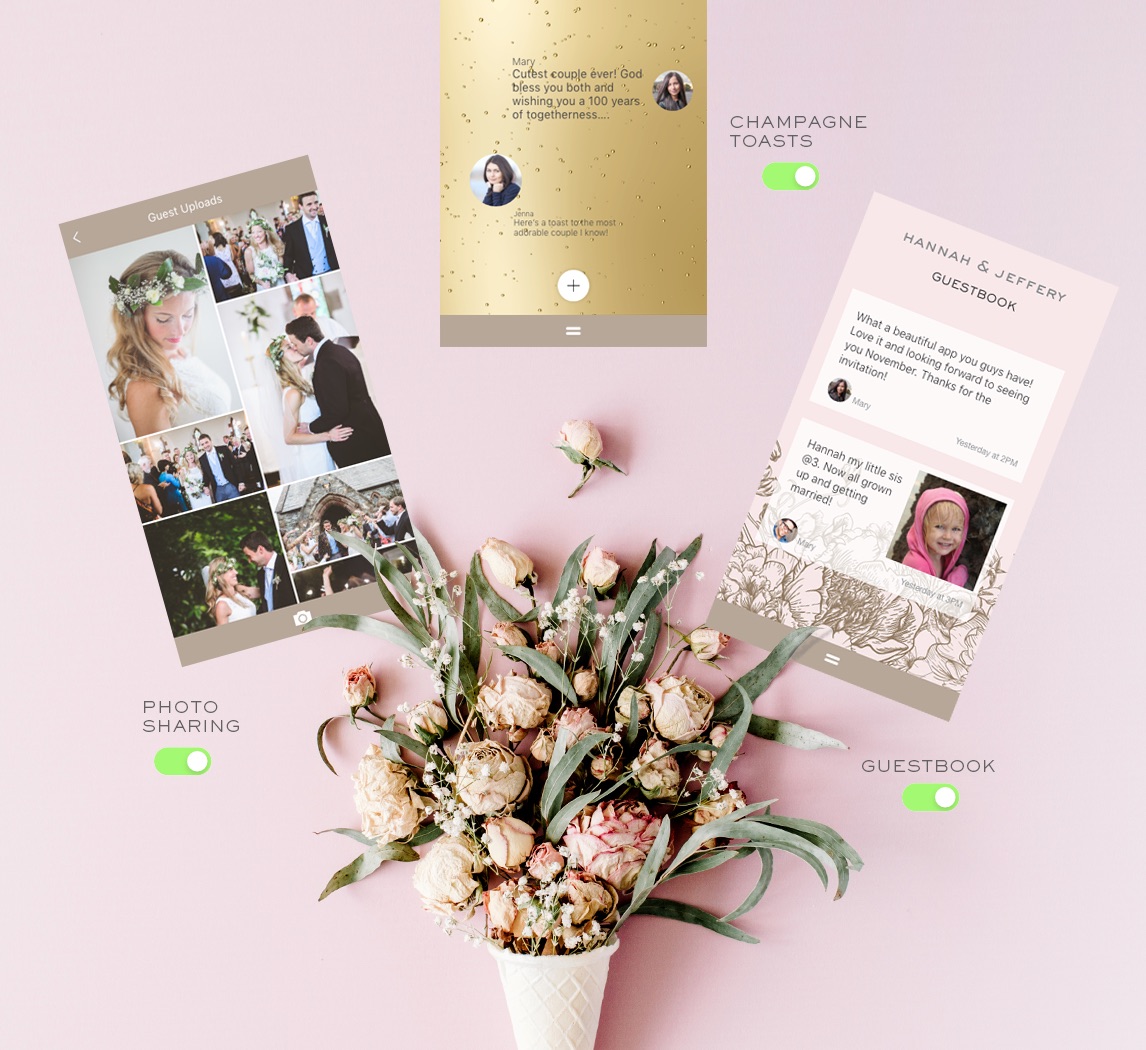 The Best Destination Wedding Website Reviews Examples