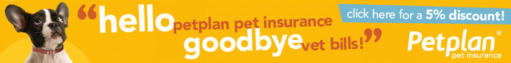 Save on Vet Bills with PetPlan Insurance