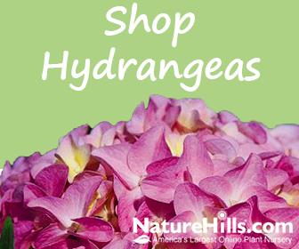 Shop Shrubs at Nature Hills