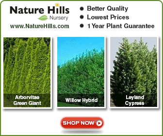 Shop for Privacy Trees at NatureHills.com
