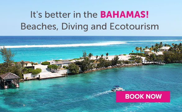 Amazing Vacation Deals
