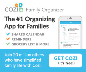 How to Add FlyLady Zones, Missions and Daily Reminders to Cozi