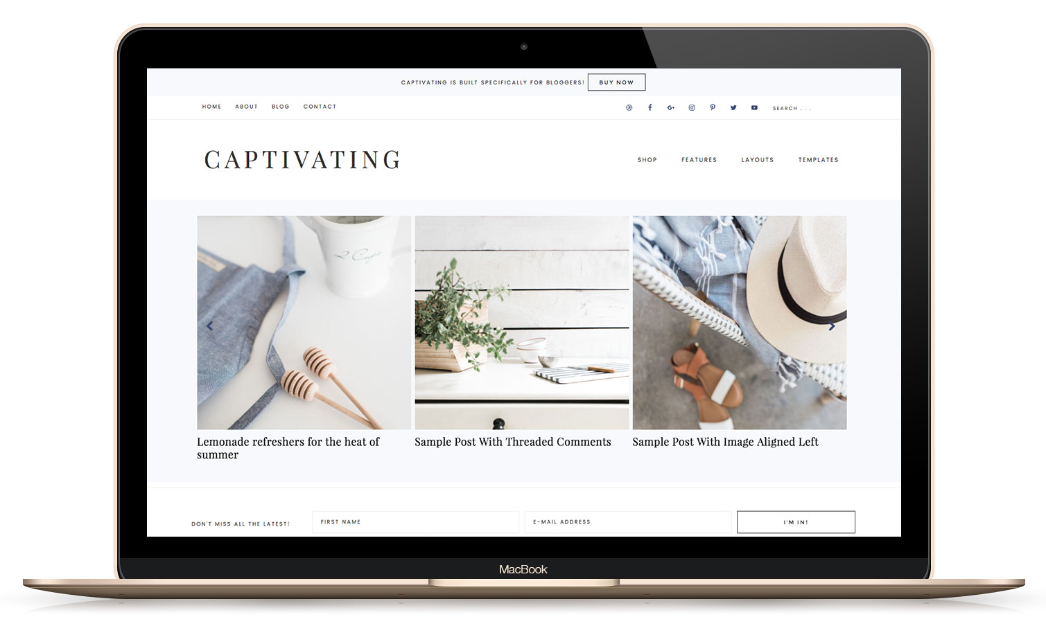 Captivating WordPress Theme for Bloggers