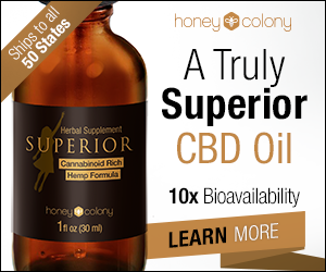 HoneyColony Superior CBD Hemp Oil