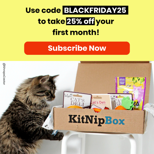 Kitnipbox coupon hotsell