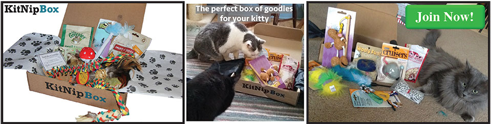 Order your monthly box of cat goodies today at www.kitnipbox.com!