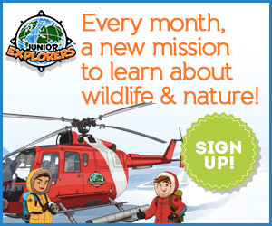 Send your child on wild adventures with Junior Explorers subscription boxes! Join Now!