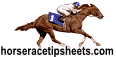 Horse Race Tip Sheets