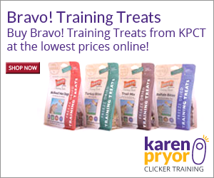 Buy Bravo! Training Treats from KPCT at the lowest prices online!