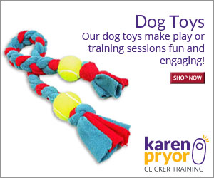From treats to tugs, KPCT carries toys that are sure to make any playtime or training session fun and engaging for you and your dog!