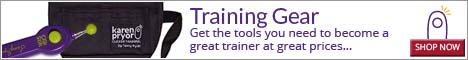 From training kits to target sticks and treat pouches, KPCT carries the tools you need to become a great trainer, all at great prices.