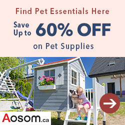 "Find Pet Essentials Here Save Up to 60% off  on Pet Supplies"