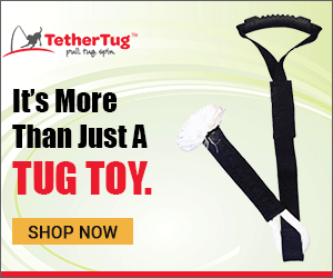 It's More Than Just A Tug Toy