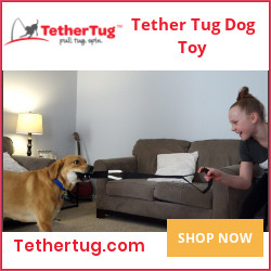 Tether Tug Dog Toy