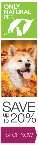 160x600 Fall Banner - Dog