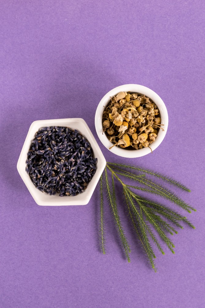 Beauty Heroes February 2017 Discovery Featuring Osmia