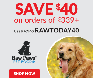Save 40% of $339 - use code RAWTODAY40