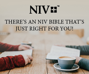 There's an NIV Bible that's just right for you: Save 30-50%