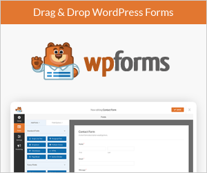 Drag & Drop WordPress Form Builder