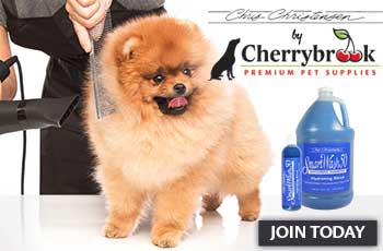 best dog clippers for pomeranians