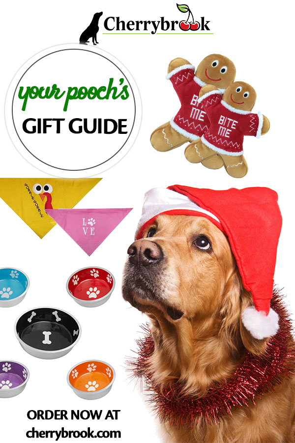 Gift Guide
