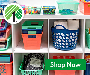 Colorful organizing bins on white shelves.