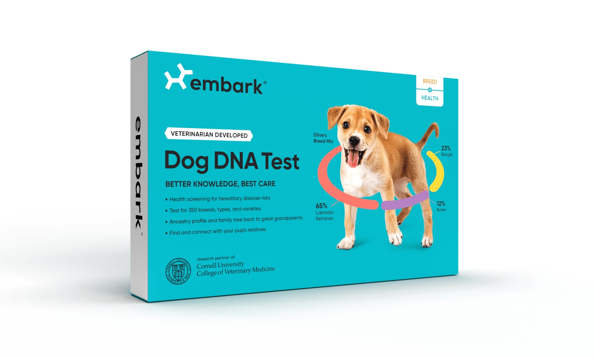 Buying a Dog DNA Test What to Know K9Aggression