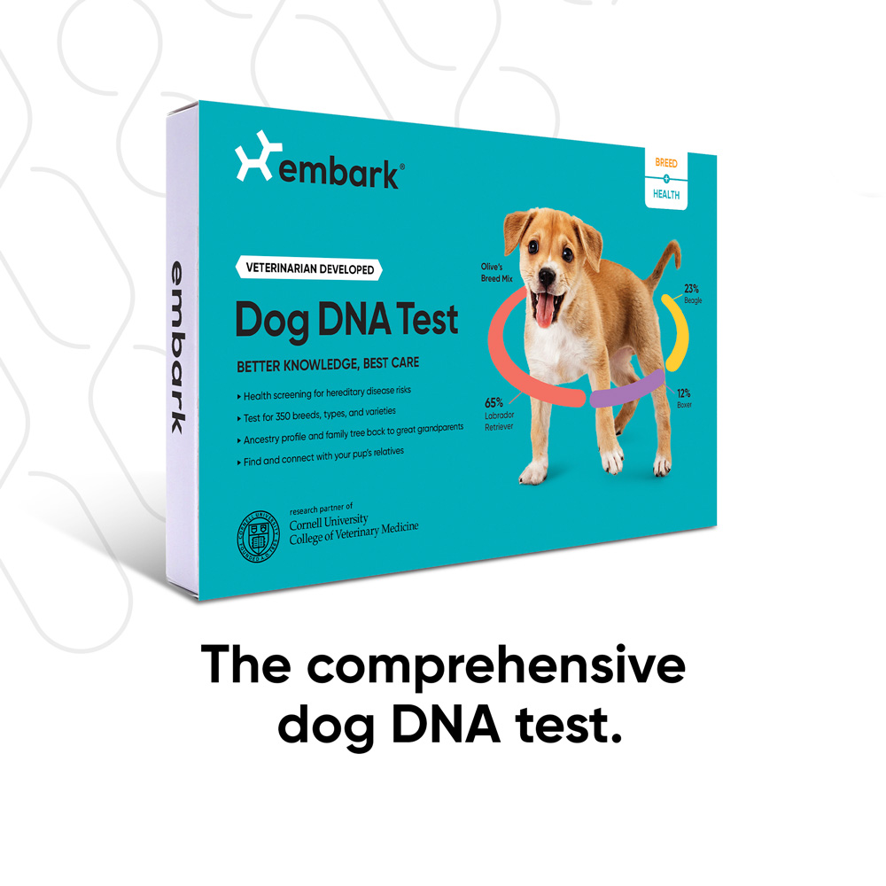 dog dna test