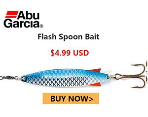 Flash Spoon Bait
