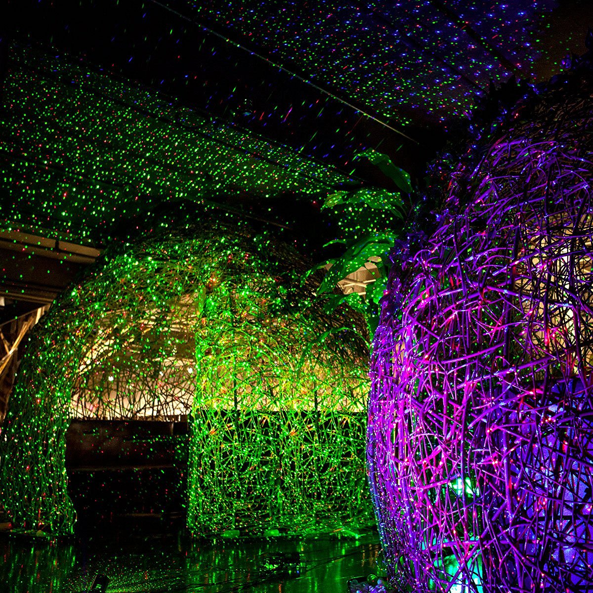 Lighting up your Events and Holidays