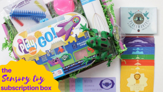 Sensory TheraPlay Box August 2022 Review + Coupon