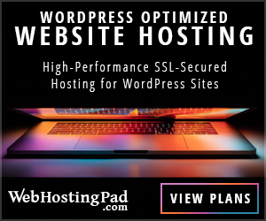 WordPress Hosting for $2.99/Month - 300 x 250