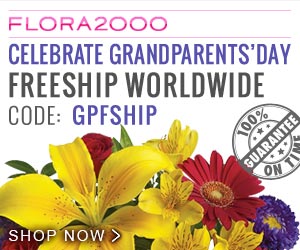 IGMP - Internet Group Management Protocol 2