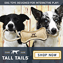 Shop our irresistibly fun dog toys!