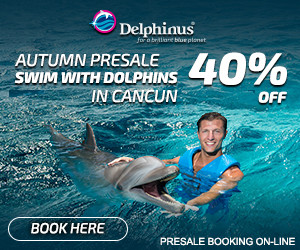 nager avec les dauphins au delphinus mexique