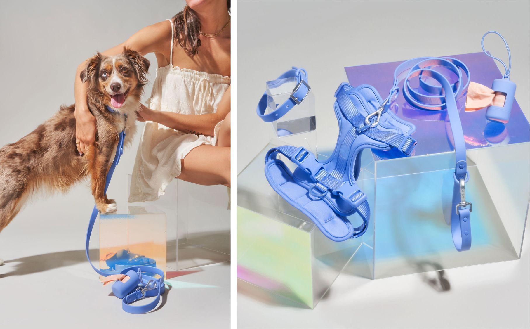 Wild One Essentials Affordable Pet Luxury