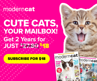 Cute Cats, Your Mailbox