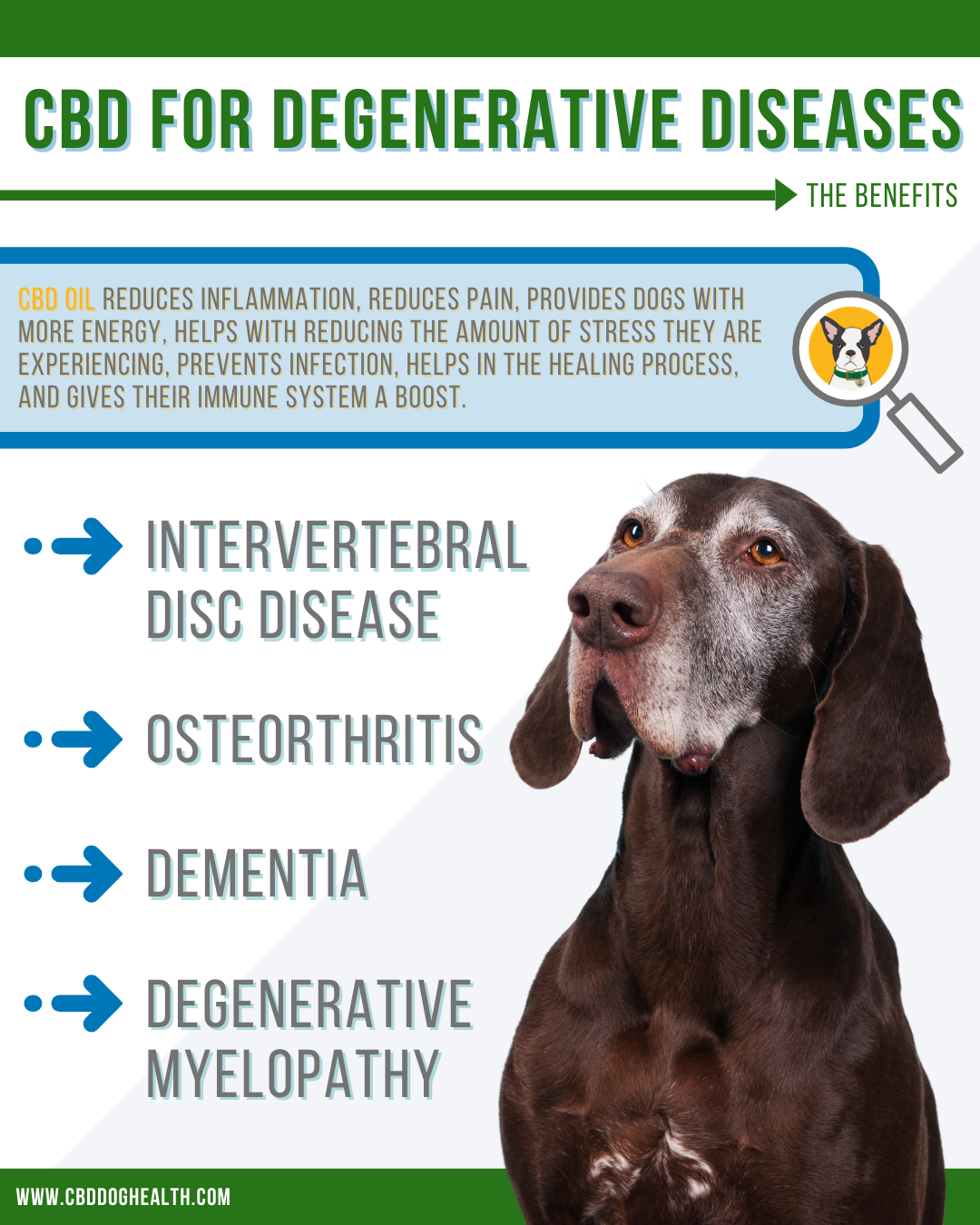 CBD For Degenerative Diseases 