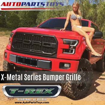 X-Metal Series Bumper Grille