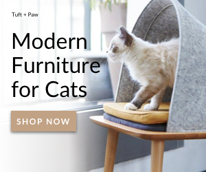 Modern Furniture For Cats