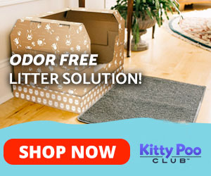 kitty poo club