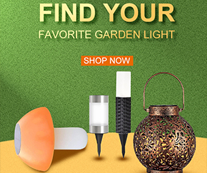 Garden Lights