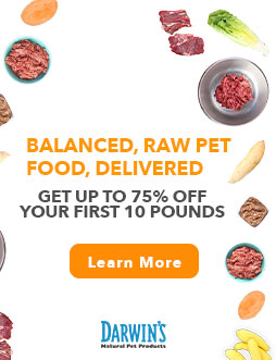 darwin's raw cat food ad