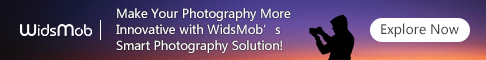 WidsMob