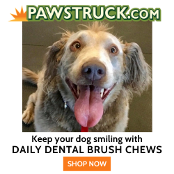 Photo of smiling dog with text: Keep your dog smiling with Daily Dental Brush Chews. SHOP NOW