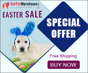 Easter Treat - Save Up to 60% + 10% Extra Discount & Free Shipping