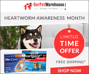 Limited Time Offer! Extra 10% Discount on all heartworm prevention treatment + Free Shipping All Orders.