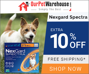 Nexgard Spectra is an excellent and broad-spectrum product for dogs. Buy Now at 10% Extra Discount + Free Shipping
