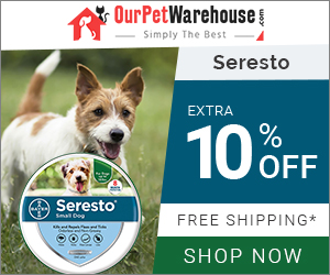 8 Months of Flea & Tick Prevention Collar for Your Dog at Extra Discount & Free Shipping